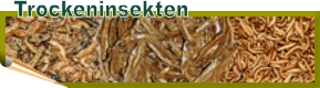 Trockeninsekten